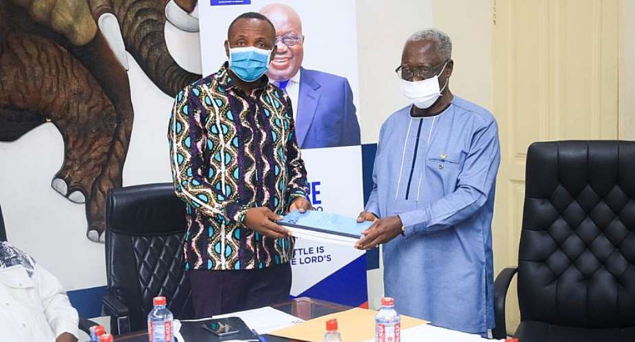 Osafo-Maafo NPP 2020 election review committee submits final report
