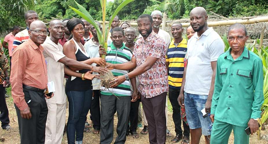 Farmers in Adansi Akrofuom receive 10,000 coconut seedlings