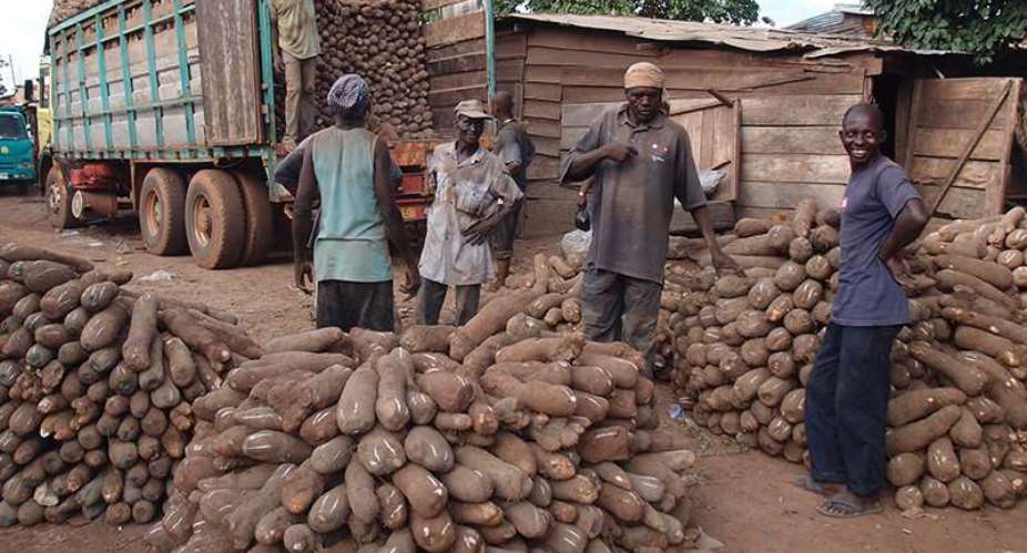We're committed to the welfare of our farmers despite challenges - Kintampo Cooperative Yam Producers