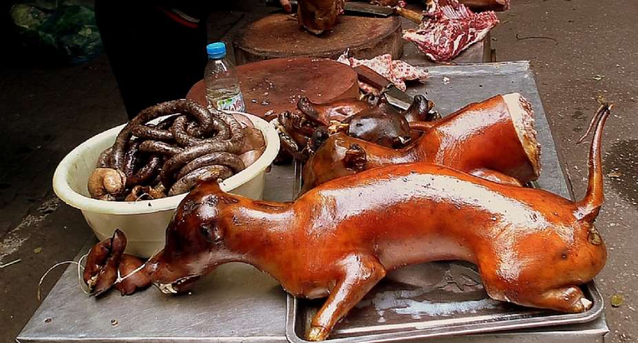 Dog meat can’t cure heartbreak – ICS debunks viral claim