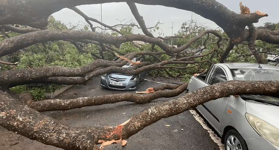 Falling tree destroy vehicles, one person injured in Monday's rainstorm