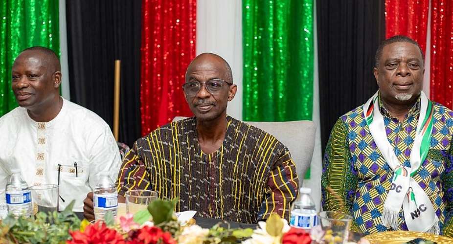 Election 2024: NDC Atlanta raise funds to support campaign