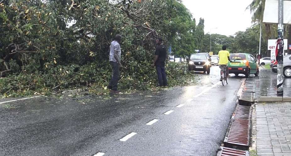 Several uprooted trees cause traffic congestion in parts of Accra after downpour