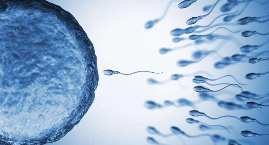 How Stress Affects Sperm: A Scientific