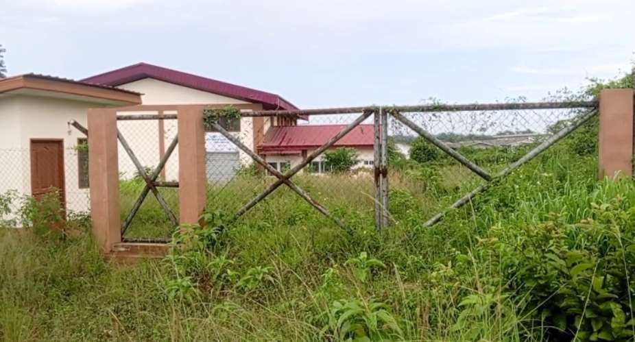 Snakes, weeds take over multi-million 1D1F starch factory at Kyekyewere inAssinSouth