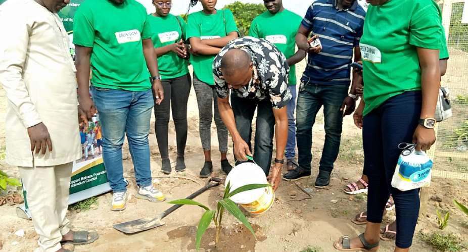 Wa Central: Rashid Pelpuo plants tree at proposed mental home in Wa