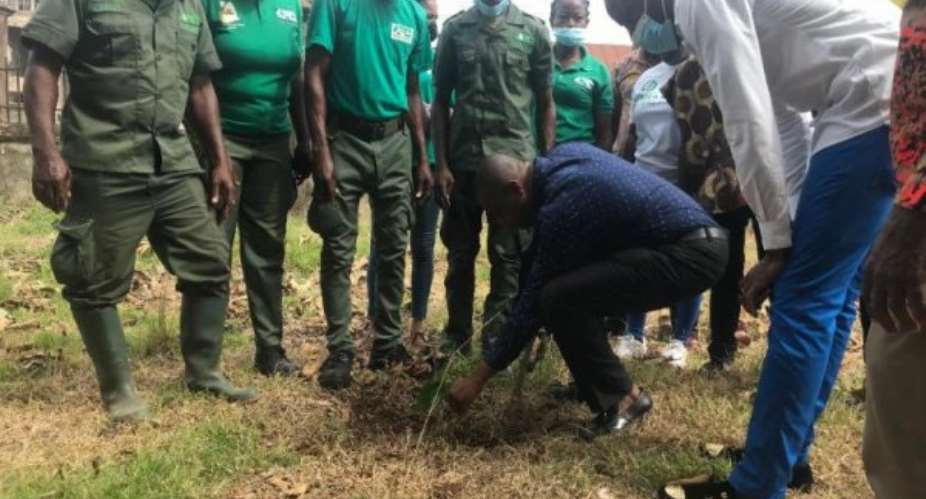 Kwadaso Municipal Assembly to plant 4,908 trees
