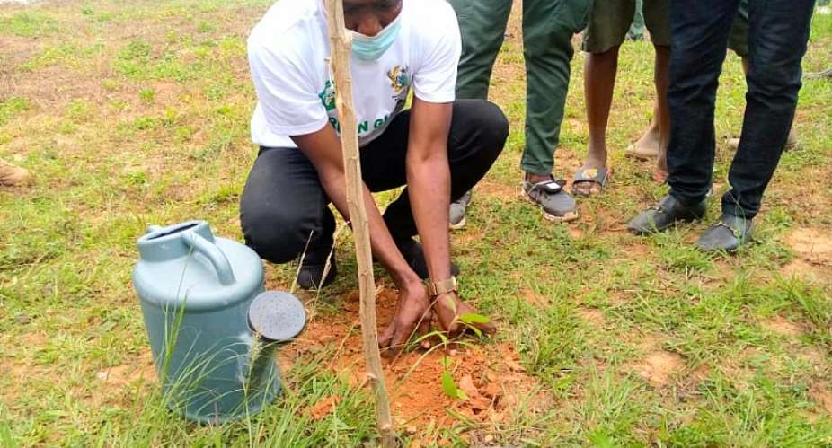 Adansi Akrofuom: DCE, MP join forces to grow 9,000 trees under the Green Ghana Project