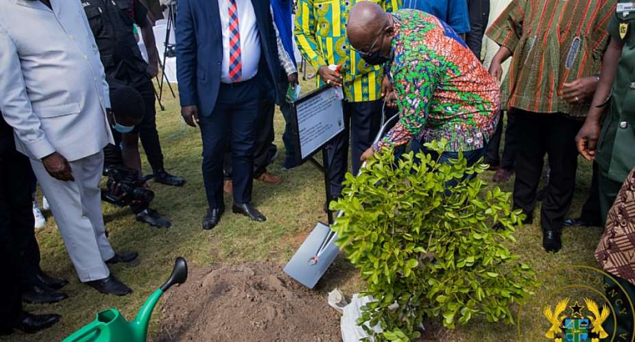 Green Ghana Day not one-off event; lets nurture trees to maturity  Akufo-Addo