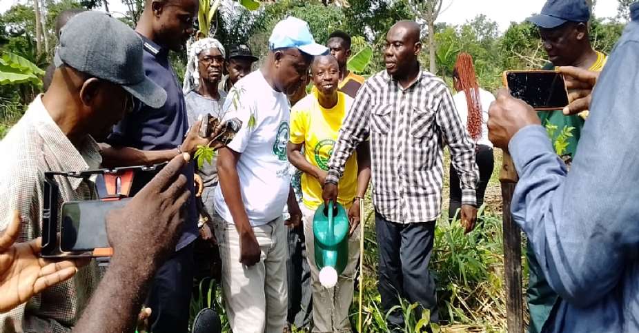 Green Ghana Day: Sunyani West MCE urge residents to embrace Green Ghana Project