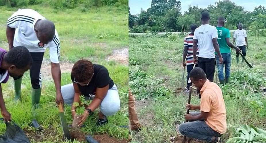 Pru West District Assembly marks Global Environmental Day for 2024 edition of Green Ghana Day