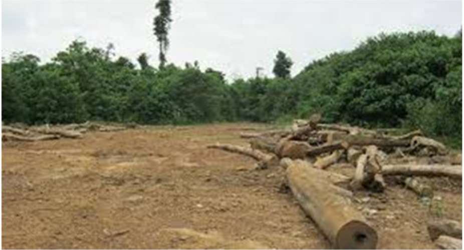 The Uprising Nature Of Deforestation In Ghana