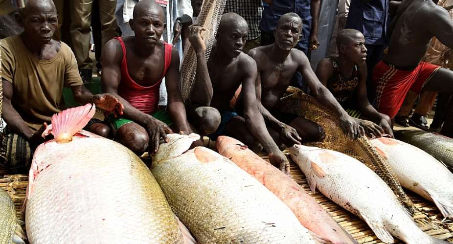 Illegal fishing increases food and economic insecurities in Nigeria.  - Source: