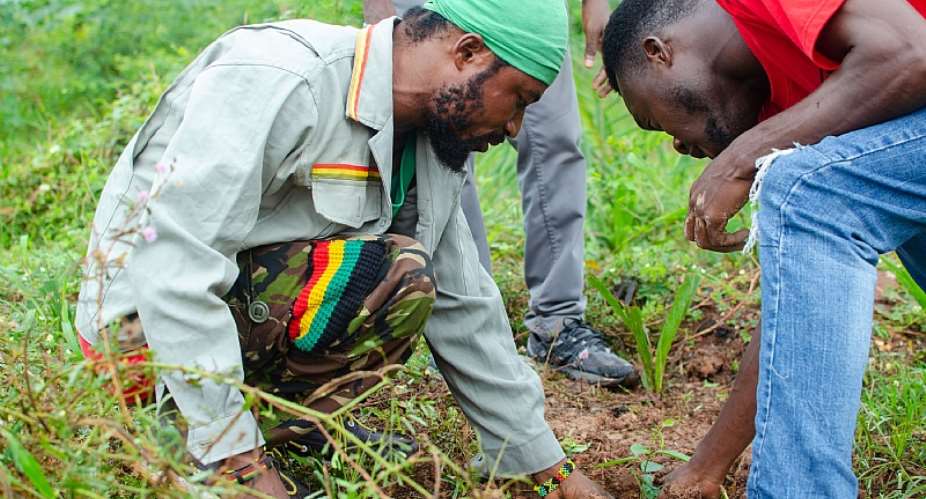 We're aware of your nonchalant attitude, but don't let it cause stray animals to destroy the trees — Ras Tafari to  EKMA and STMA