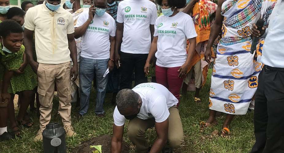 Obuasi East DCE, MP join nationwide tree planting exercise