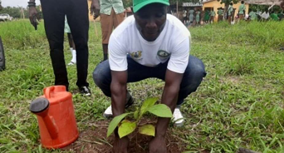 Tano South Municipality observes Green Ghana Day