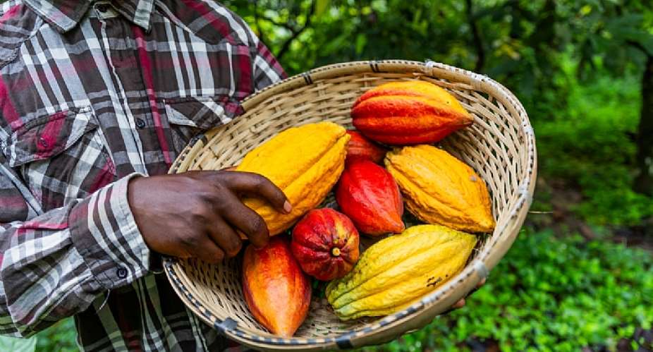 A Breath of Fresh Air: Cocobods exemplary support for cocoa farmers in Sekyere East District