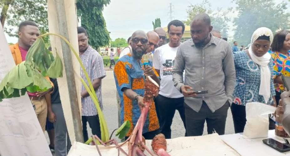 UCC Crop Sciences Department launches Taro Product Innovation Exhibition and Training