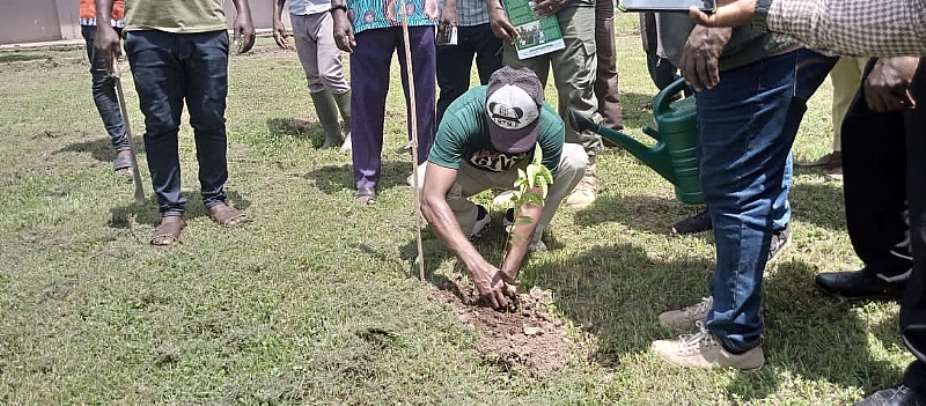 Amansie West District plants over 4,000 trees on Green Ghana Day