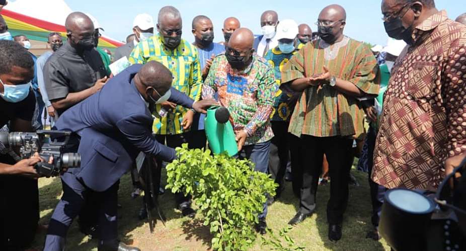 You spent GHS25m on tree planting 'k3k3' whiles free SHS suffer — Group blasts Akufo-Addo