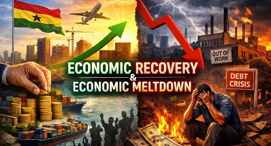 Economic Meltdown: Who Benefited and Who Bore the Brunt?