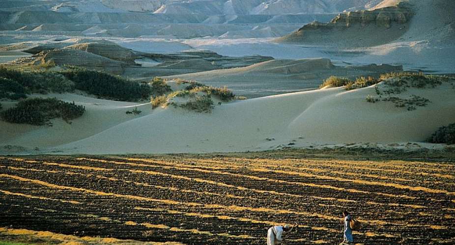 Farmers working the land in the Western Sahara, Egypt.  - Source: DeAgostiniGetty Images