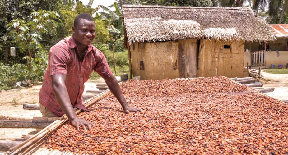 Mahamas free healthcare plan for cocoa farmers