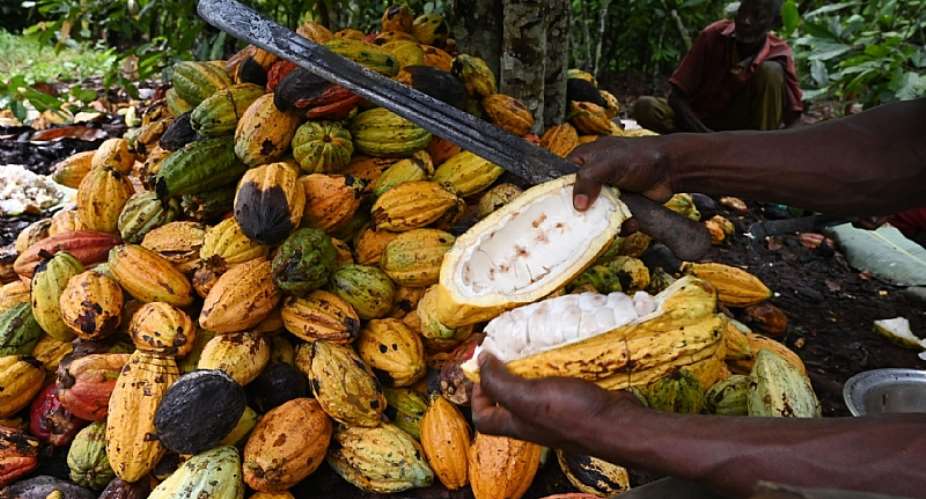 Ghanas Cocoa Future Requires a Radical Policy Shift: Eight Priorities for Building Climate-Resilient Producers