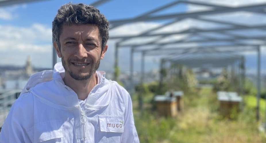 Paris rooftop hives produce less bees knees honey due to climate change