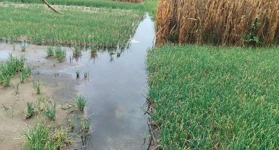 V/R: Flood waters submerge acres of farmlandin Anloga