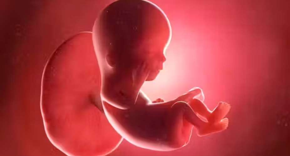 Heat exposure during pregnancy can lead to a lifetime of health problems