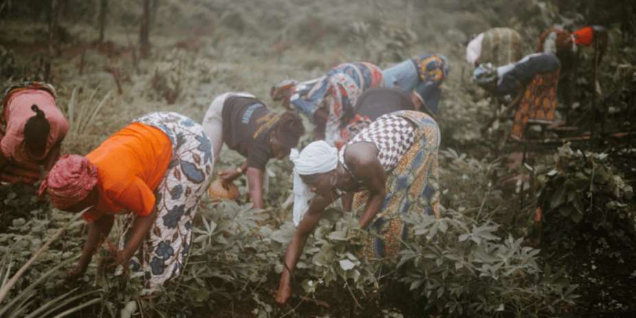 Why do Ghana’s Agri plans keep falling apart?