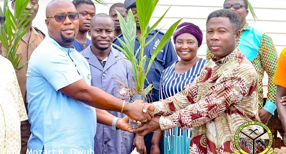 Prestea Huni-Valley MCE Distributes Over 73,000 Palm Seedlings To Farmers