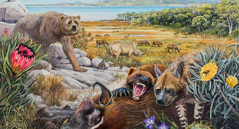 What South Africas West Coast might have looked like 5 million years ago. In the foreground, a giant wolverine feeds on a pig while chasing away a primitive hyena. - Source: Maggie Newman, Geological Society of South Africa and the University of the Witwatersrand