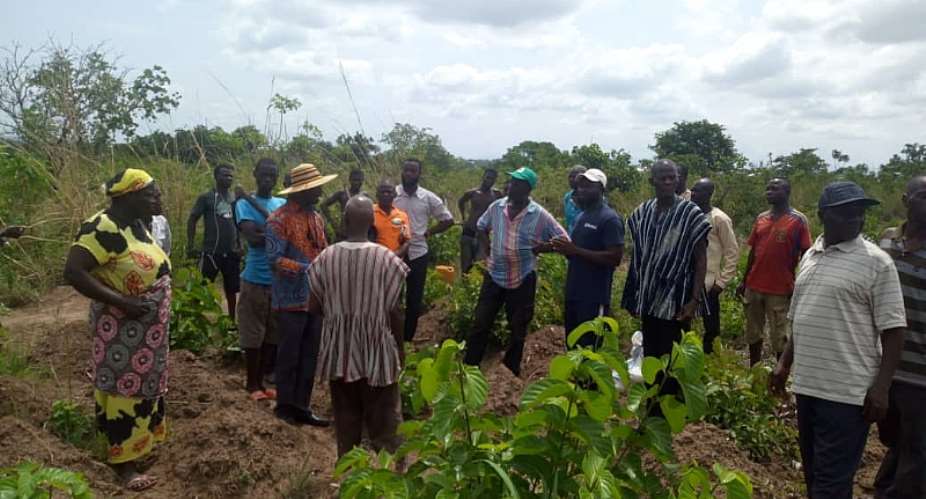GEPA Train Yam Farmers To Boost Production For Export