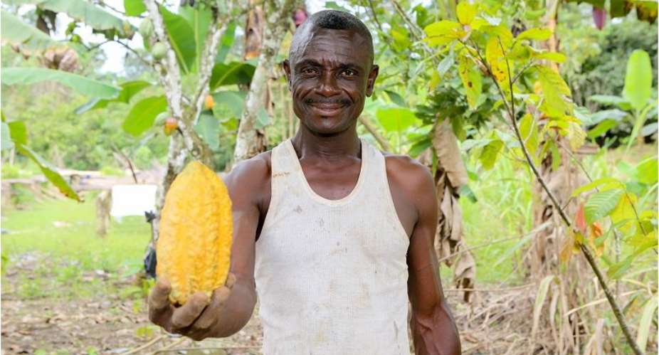Cocoa farmer in Ghana.Photo: Rodney QuarcooWorld Bank