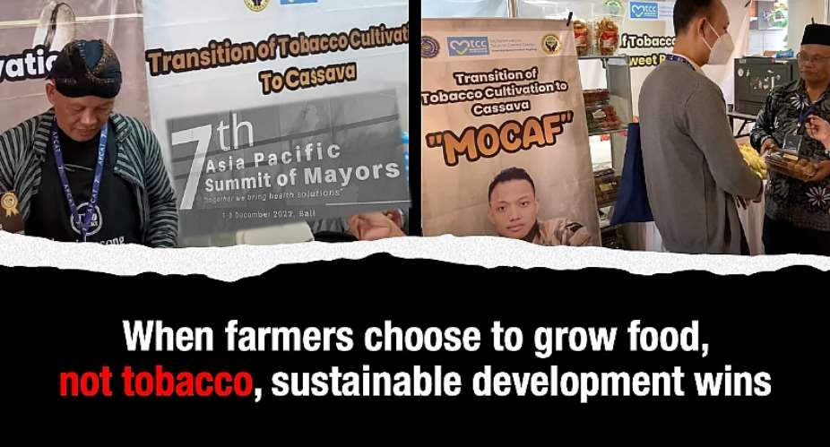 When farmers choose to grow food, not tobacco, sustainable development wins
