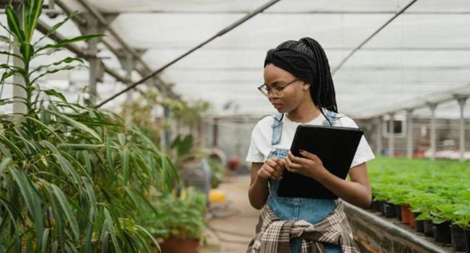 Modern agriculture and innovation will play a central role in Africas quest for food security and economic - Csovereignty. Image Source: Pixabay.
