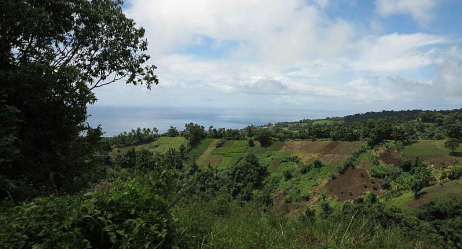 The area around Gourbeyre and Saint-Claude in southern Guadeloupe, an agricultural area that is the most polluted by Chlordecone on the island. -  Agns Rougier/RFI