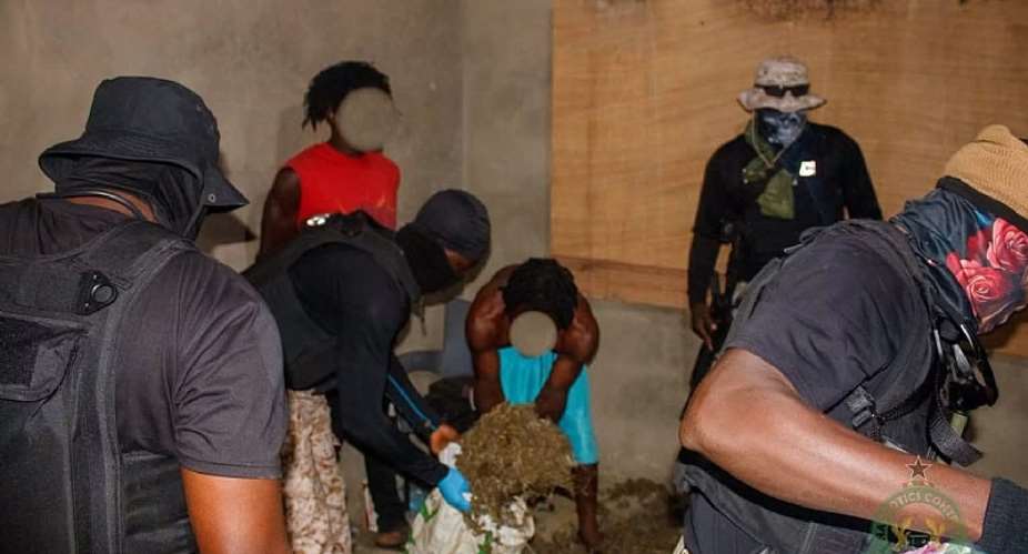 NACOC arrests three suspects in night raid on cannabis production hub in Volta Region