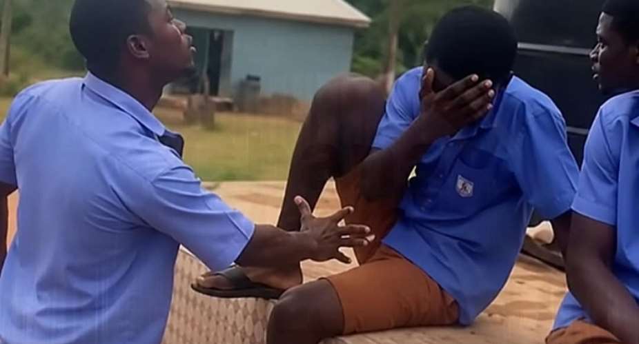 Action will be taken on viral video showing SHS student assaulting a junior — Dr Apaak