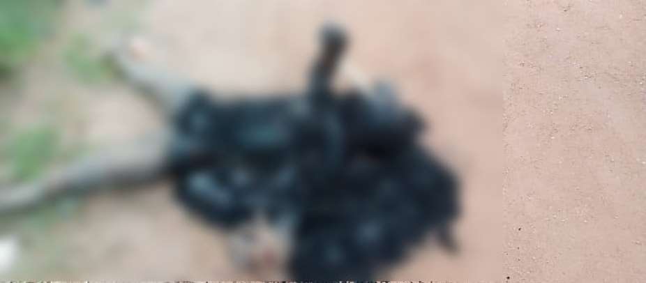 Amenfi East: Suspected thief burnt to death