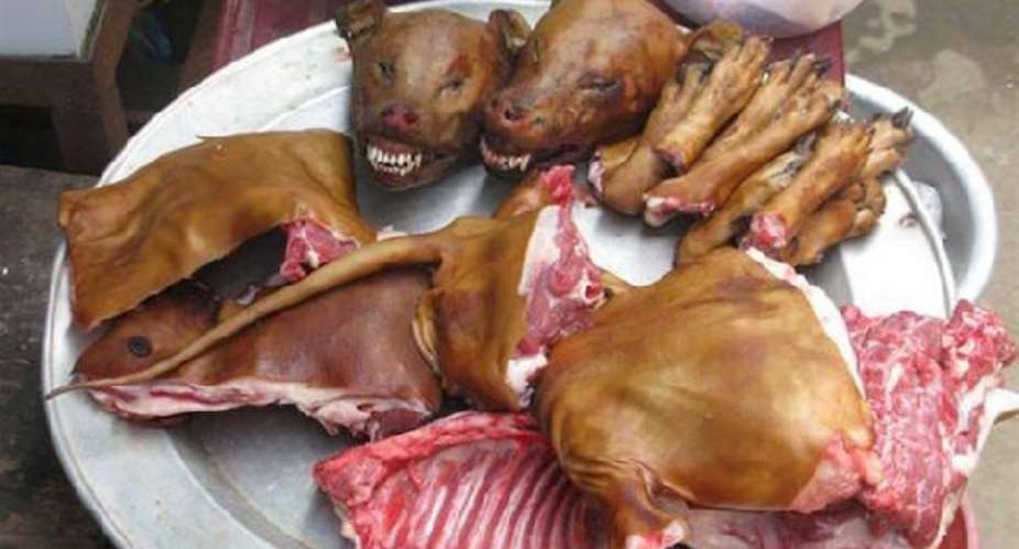 Stop trading and eating dogs, cats; sacrificing animals cruel — CFCFA renews calls