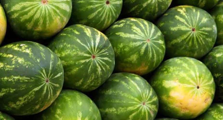 Bongo: 12 individuals hospitalized at St. Clement Hospital for consuming watermelon