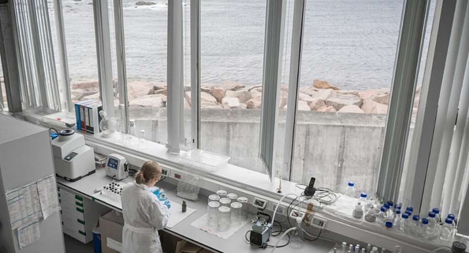 A scientist at an EMBRC marine laboratory in Spain, where researchers collect, study and preserve marine organisms for research and conservation. -  EMBRC Spain/ECIMAT