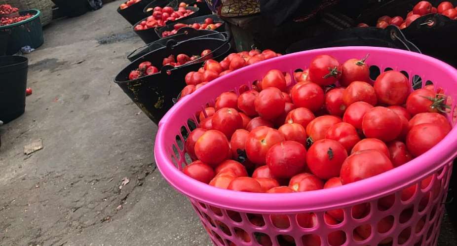 A/R: Kumasi tomato traders push for revival of local tomato industry