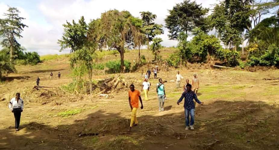 Apedwahene allegedly destroys 33 acres of farm lands, buildings at Mankrong
