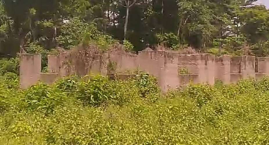 Criminals terrorize residents as weeds takeover abandoned Kwadwo-Addaikrom police post, telephony project