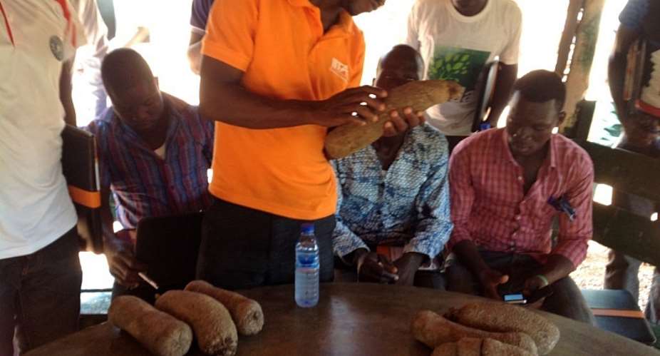 Smallholder Farmers To Get Seed Support Through ECoSIB