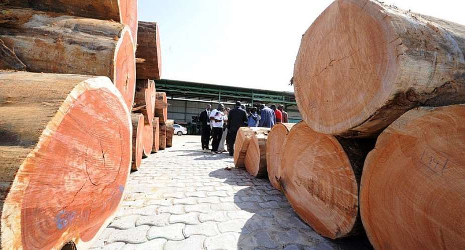 Government Urged To Use Its Purchasing Power To Drive Sustainability In The Domestic Timber Trade